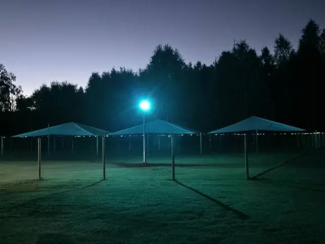 Tre tält på festivalområdet i skymningen med en lampa som lyser upp gräset.
